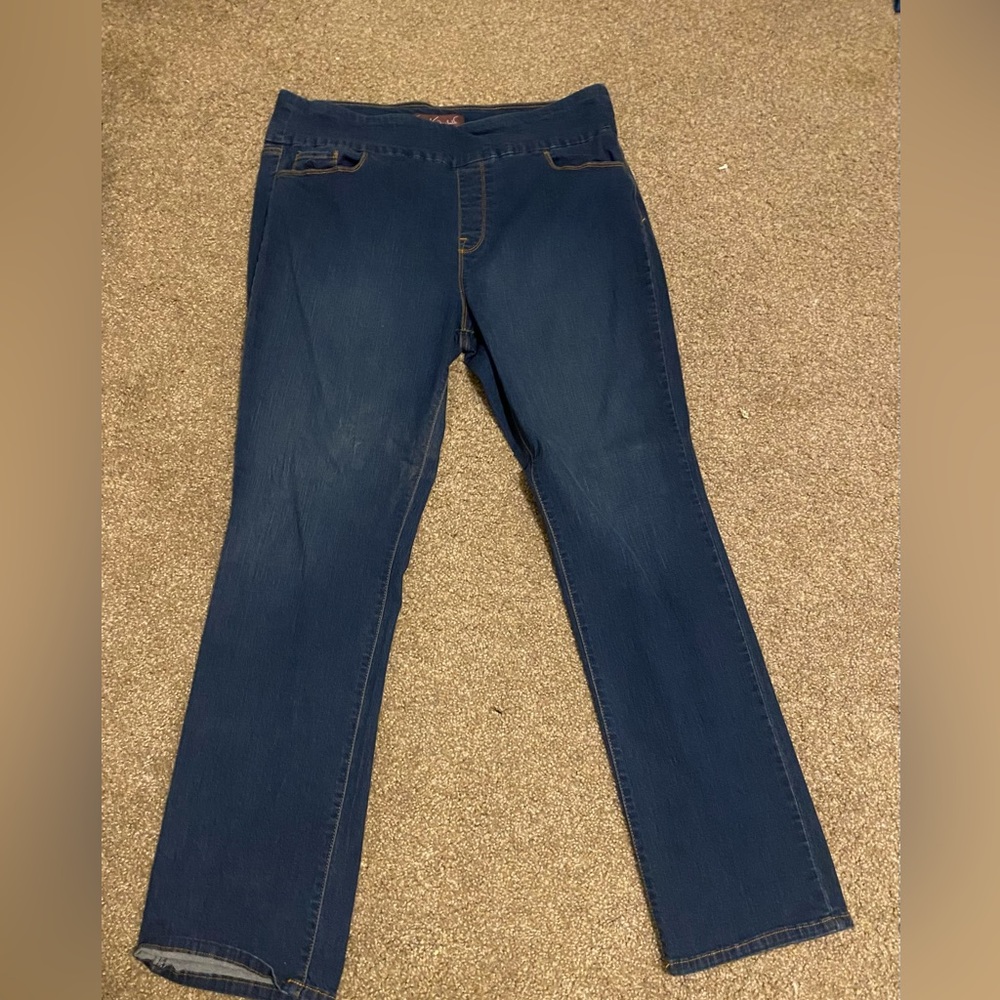 Gloria Vanderbilt Jeans